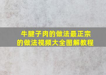 牛腱子肉的做法最正宗的做法视频大全图解教程