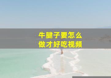 牛腱子要怎么做才好吃视频