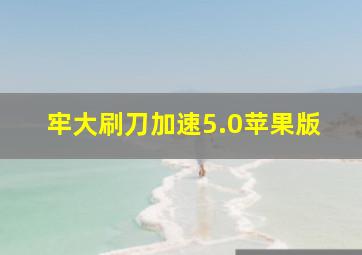 牢大刷刀加速5.0苹果版