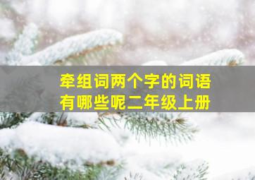 牵组词两个字的词语有哪些呢二年级上册