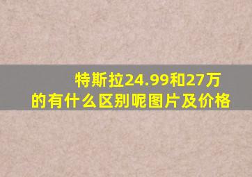 特斯拉24.99和27万的有什么区别呢图片及价格