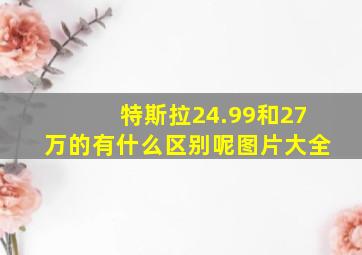 特斯拉24.99和27万的有什么区别呢图片大全