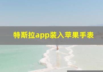 特斯拉app装入苹果手表