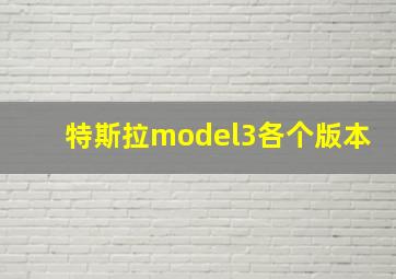 特斯拉model3各个版本