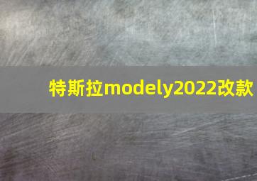 特斯拉modely2022改款