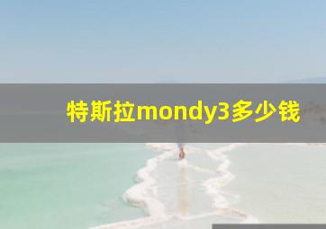 特斯拉mondy3多少钱