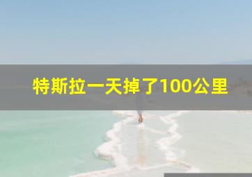 特斯拉一天掉了100公里