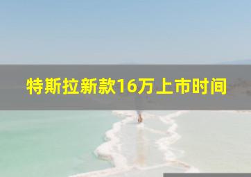 特斯拉新款16万上市时间