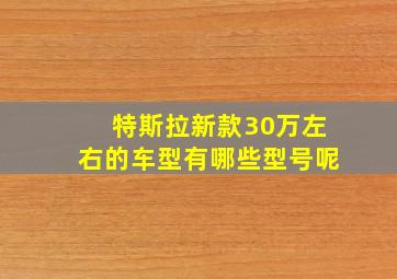 特斯拉新款30万左右的车型有哪些型号呢