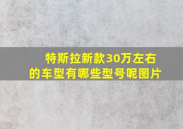 特斯拉新款30万左右的车型有哪些型号呢图片