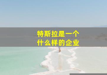 特斯拉是一个什么样的企业