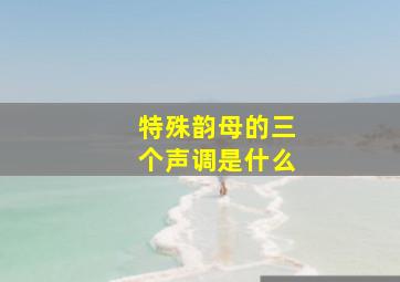 特殊韵母的三个声调是什么