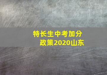 特长生中考加分政策2020山东