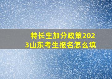 特长生加分政策2023山东考生报名怎么填