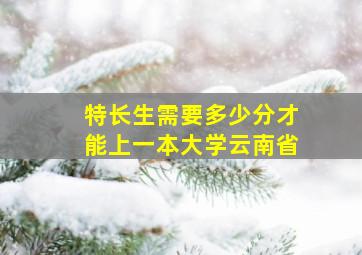 特长生需要多少分才能上一本大学云南省