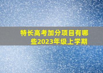 特长高考加分项目有哪些2023年级上学期