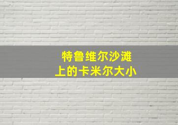 特鲁维尔沙滩上的卡米尔大小