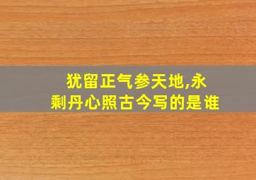 犹留正气参天地,永剩丹心照古今写的是谁