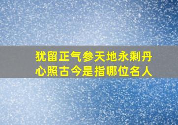 犹留正气参天地永剩丹心照古今是指哪位名人