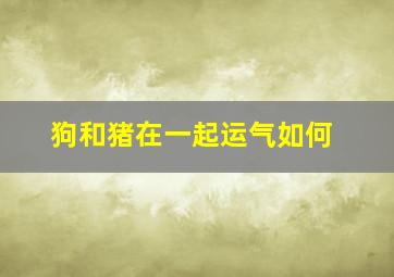 狗和猪在一起运气如何