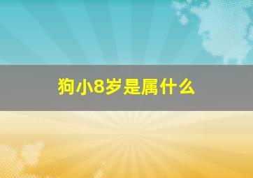 狗小8岁是属什么