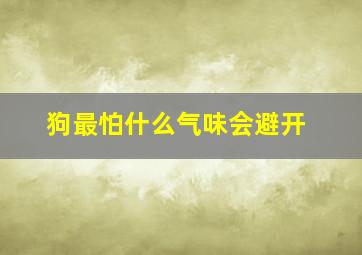 狗最怕什么气味会避开