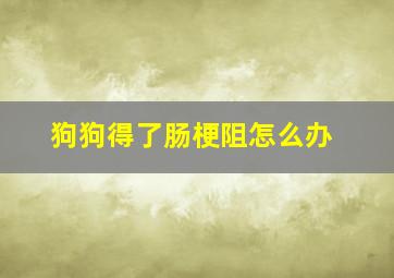 狗狗得了肠梗阻怎么办