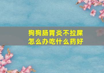 狗狗肠胃炎不拉屎怎么办吃什么药好