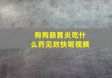 狗狗肠胃炎吃什么药见效快呢视频