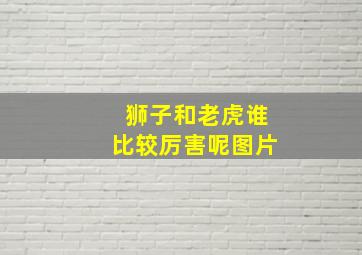 狮子和老虎谁比较厉害呢图片