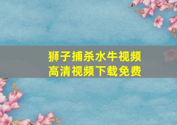 狮子捕杀水牛视频高清视频下载免费