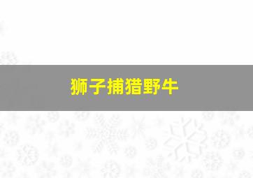 狮子捕猎野牛