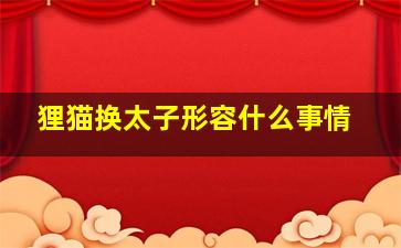 狸猫换太子形容什么事情