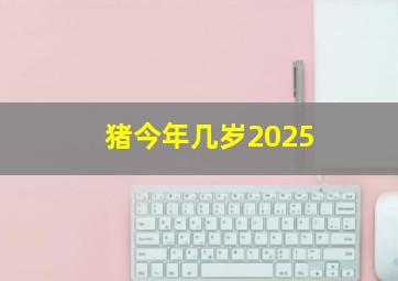 猪今年几岁2025