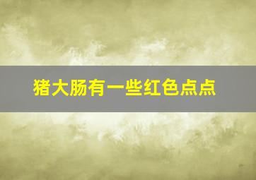 猪大肠有一些红色点点