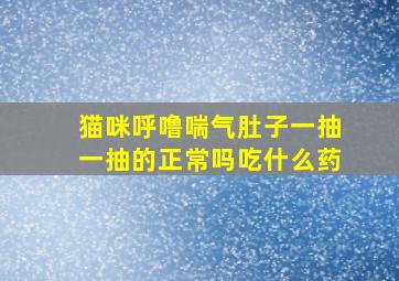 猫咪呼噜喘气肚子一抽一抽的正常吗吃什么药