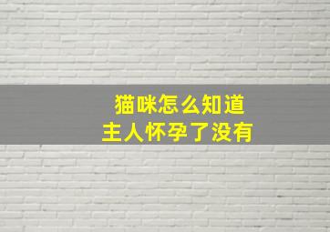 猫咪怎么知道主人怀孕了没有