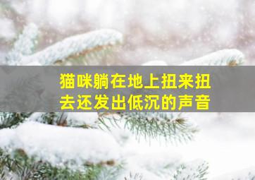 猫咪躺在地上扭来扭去还发出低沉的声音