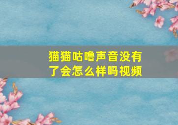 猫猫咕噜声音没有了会怎么样吗视频