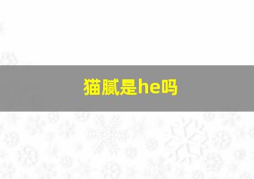 猫腻是he吗