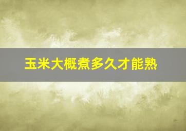 玉米大概煮多久才能熟