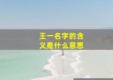 王一名字的含义是什么意思