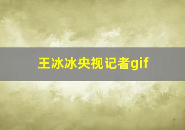 王冰冰央视记者gif