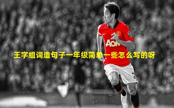 王字组词造句子一年级简单一些怎么写的呀