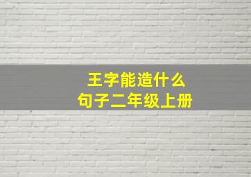 王字能造什么句子二年级上册