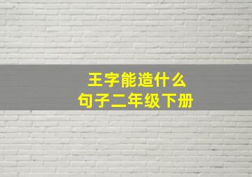 王字能造什么句子二年级下册