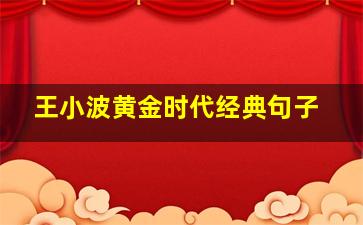 王小波黄金时代经典句子