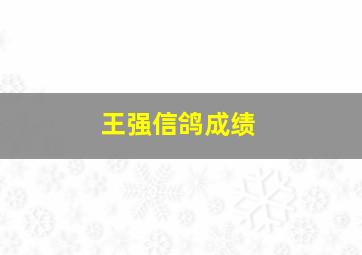 王强信鸽成绩