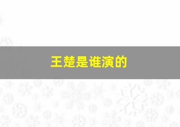 王楚是谁演的