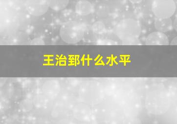 王治郅什么水平